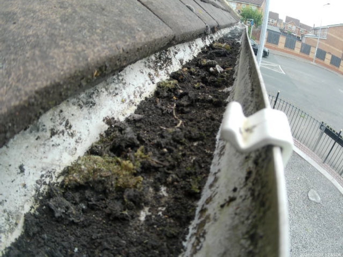 Before · Built-up moss and debris, cleared