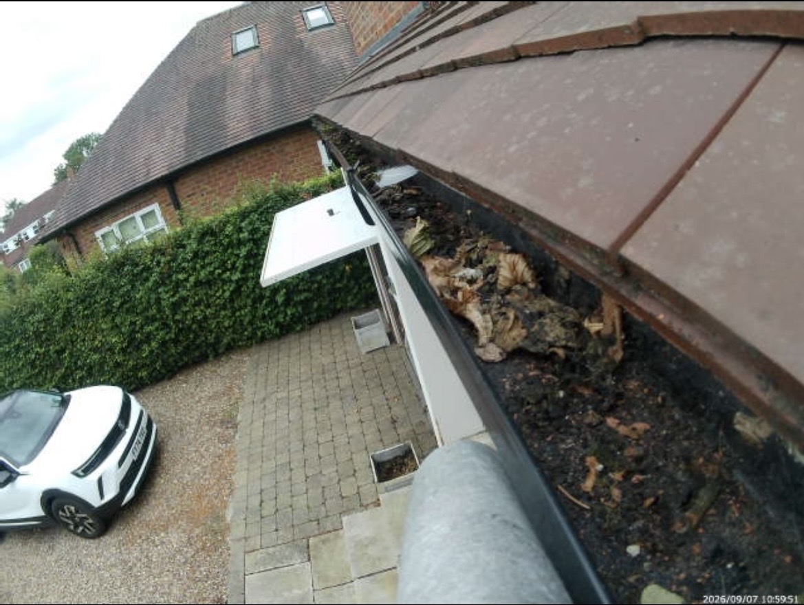 Before · A leaf-filled gutter, cleared